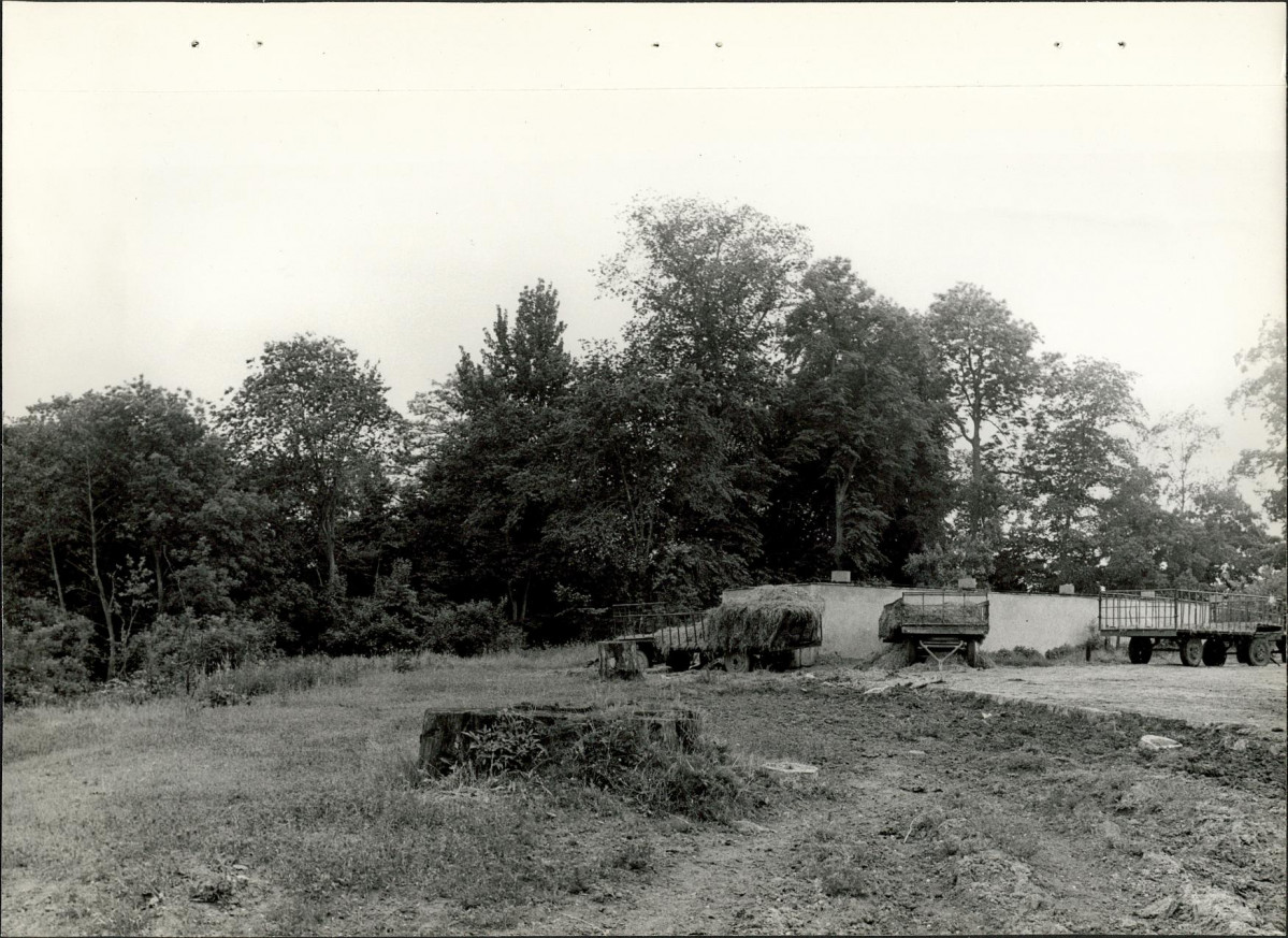 Ewidencja parkowa, skan nr 23