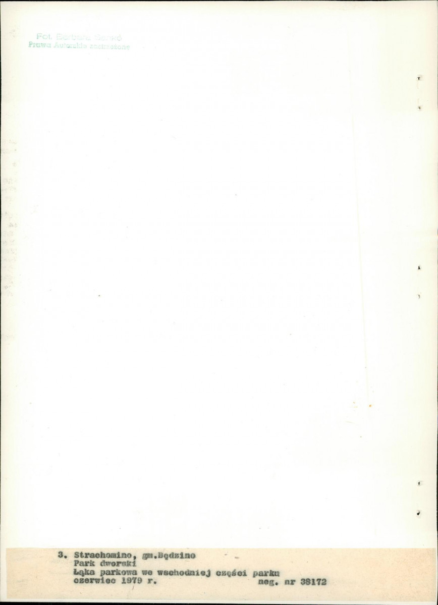 Ewidencja parkowa, skan nr 26