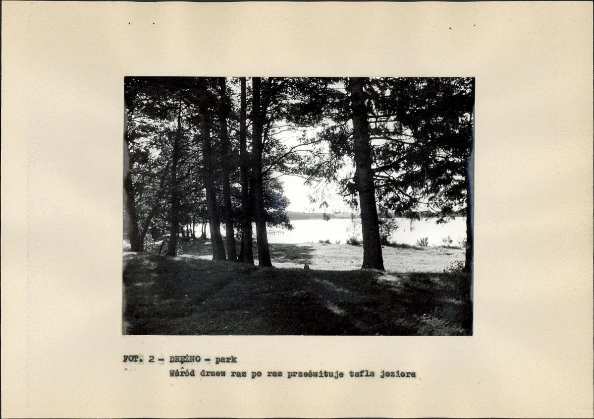 EP - Ewidencja parkowa, skan nr 15