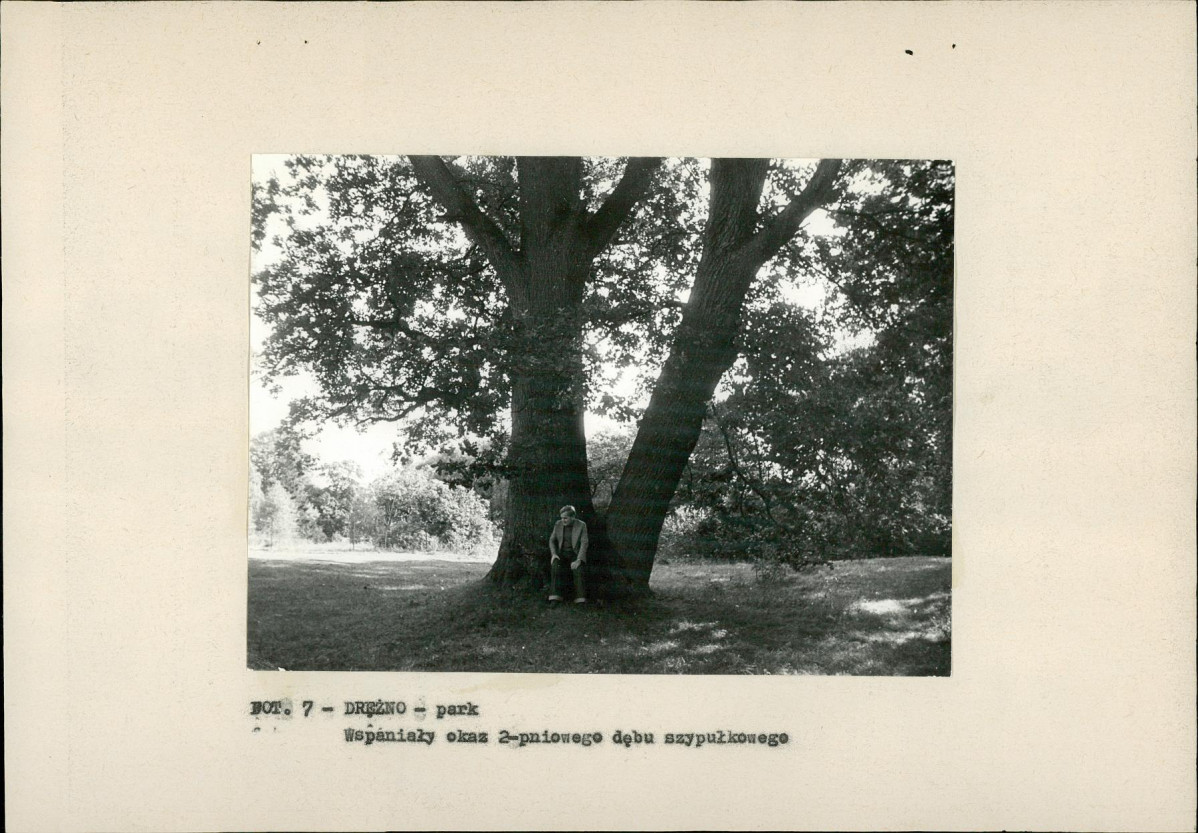 EP - Ewidencja parkowa, skan nr 20