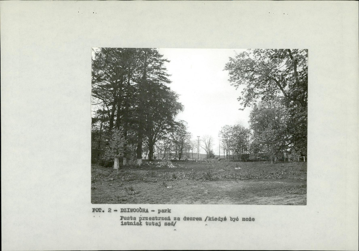 EP - Ewidencja parkowa, skan nr 14