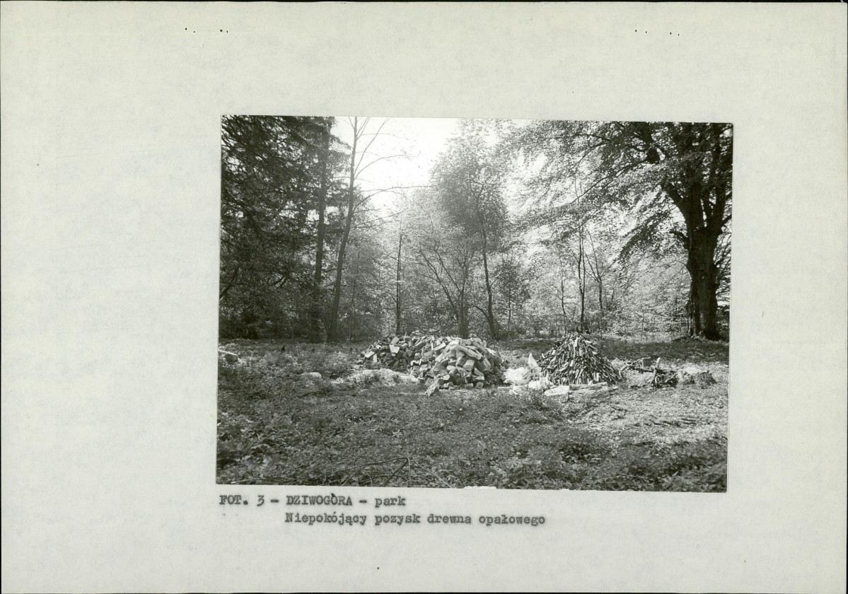 EP - Ewidencja parkowa, skan nr 15