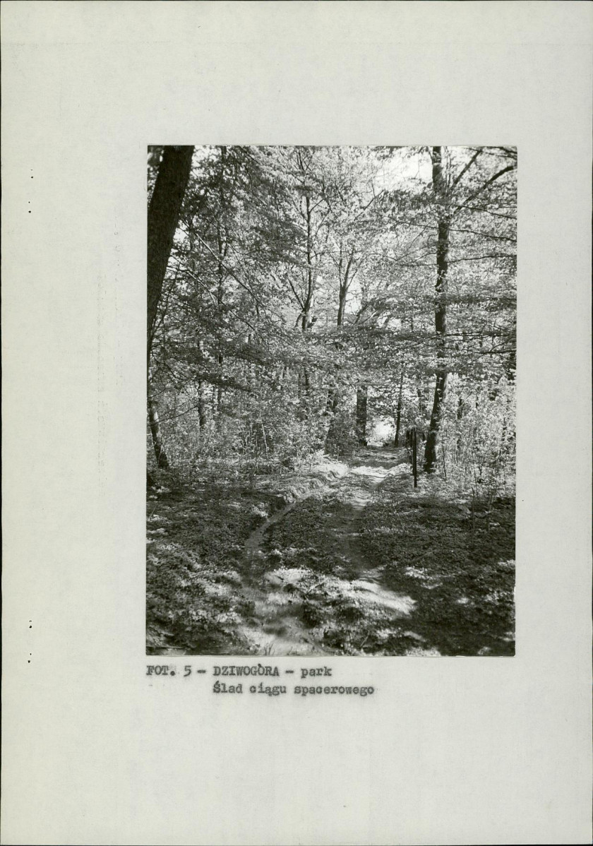 EP - Ewidencja parkowa, skan nr 17