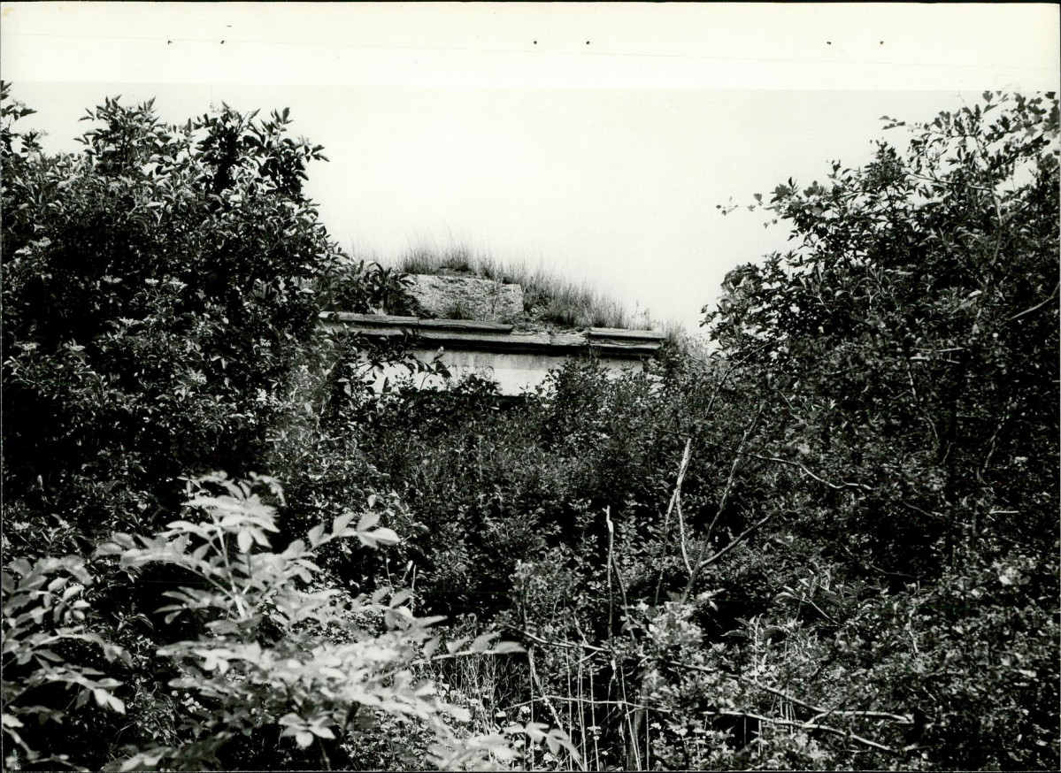 Ewidencja parkowa, skan nr 17