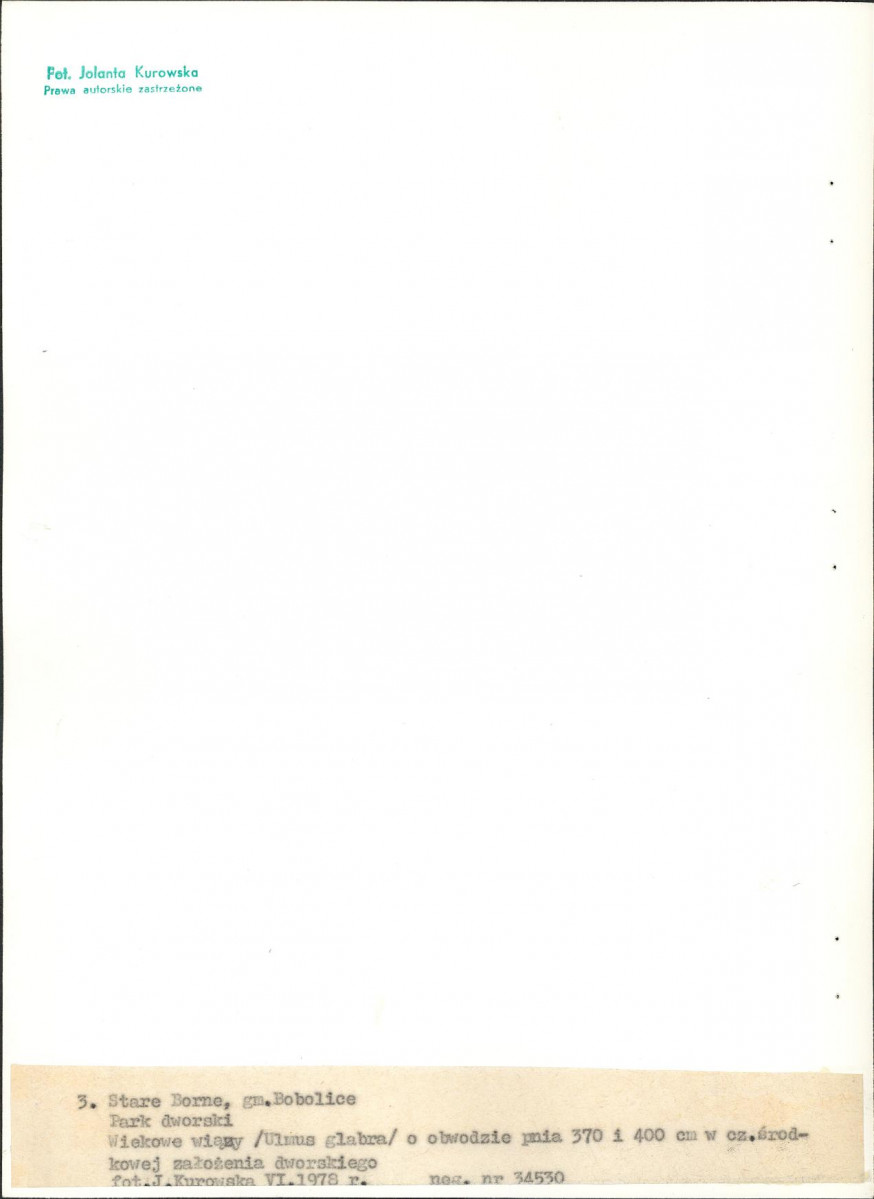 EP - Ewidencja parkowa, skan nr 20