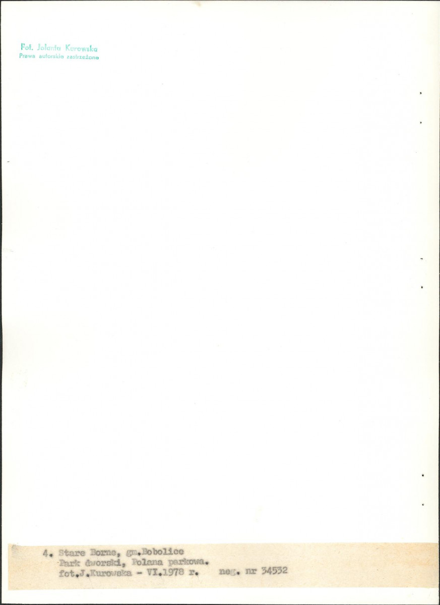 EP - Ewidencja parkowa, skan nr 22