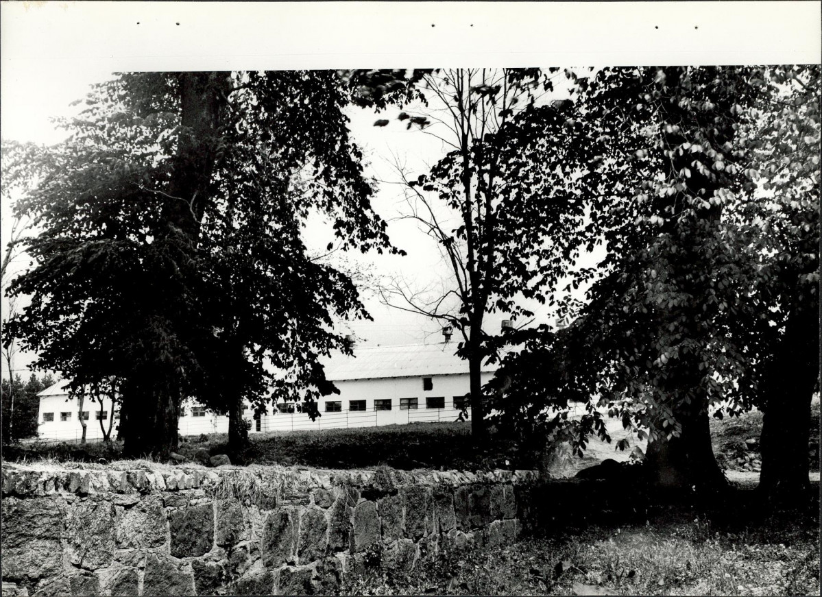 EP - Ewidencja parkowa, skan nr 23