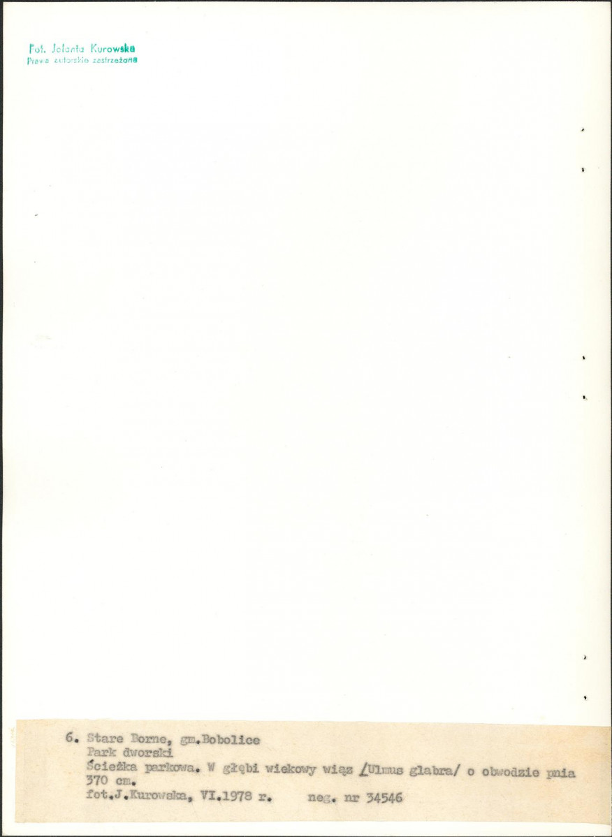 EP - Ewidencja parkowa, skan nr 26