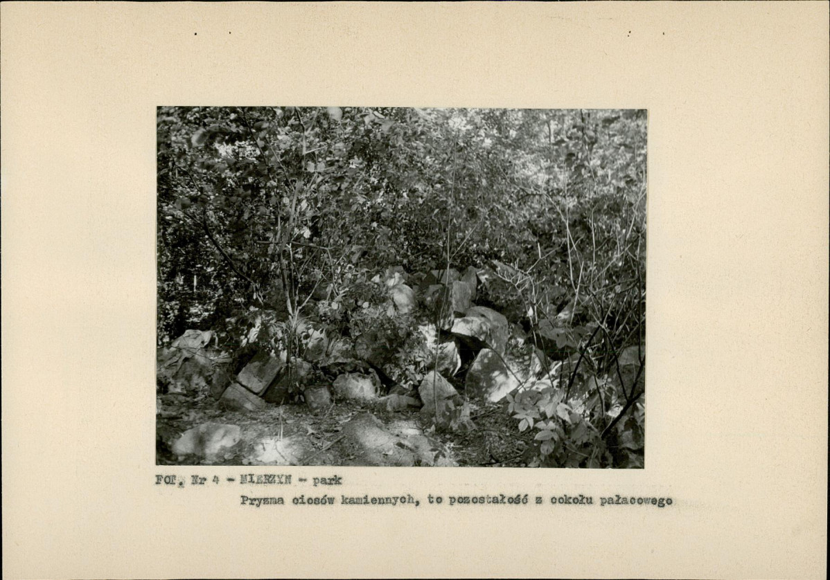 Ewidencja parkowa, skan nr 18