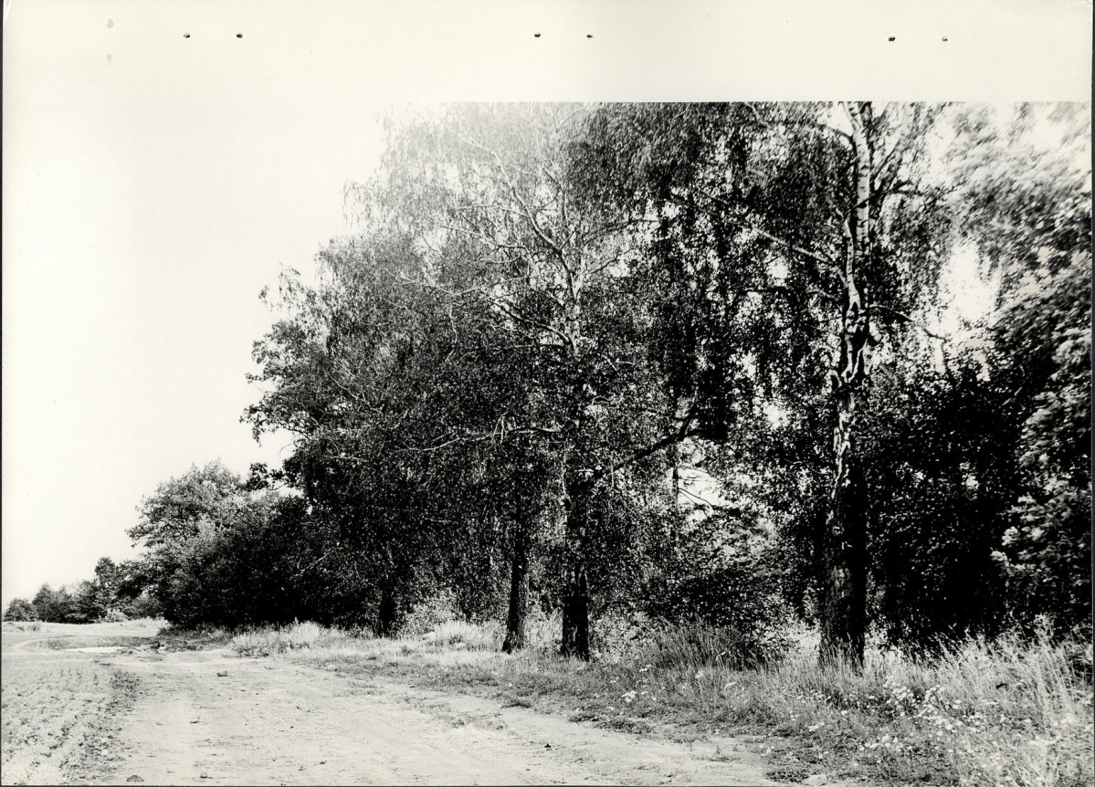 Ewidencja parkowa, skan nr 19