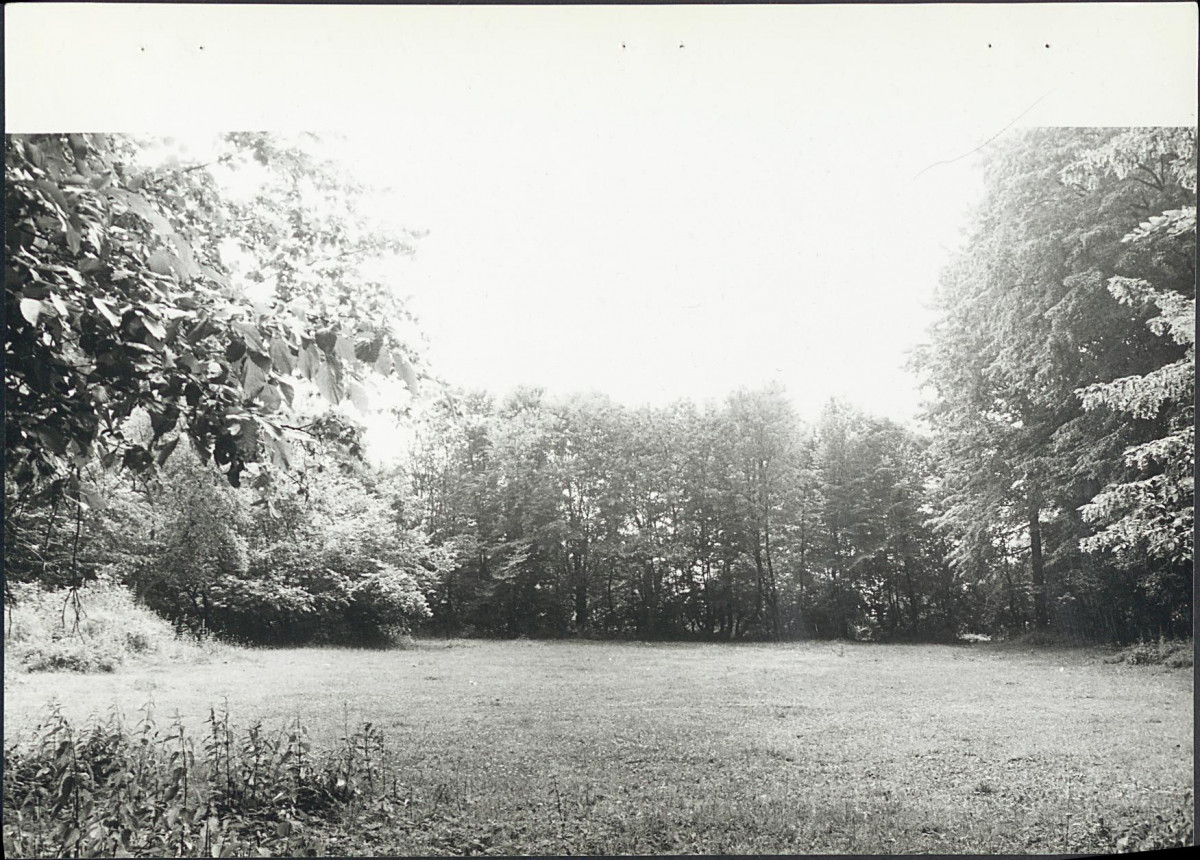 Ewidencja parkowa, skan nr 27