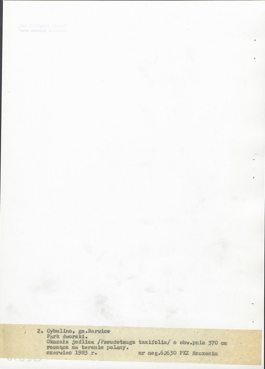 EP - Ewidencja parkowa, skan nr 22
