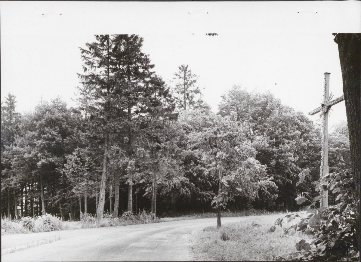 Ewidencja parkowa, skan nr 18