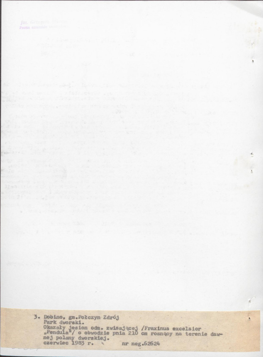 Ewidencja parkowa, skan nr 23