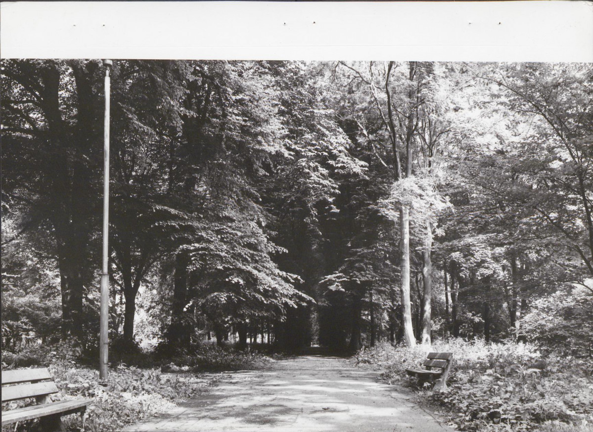 Ewidencja parkowa, skan nr 24