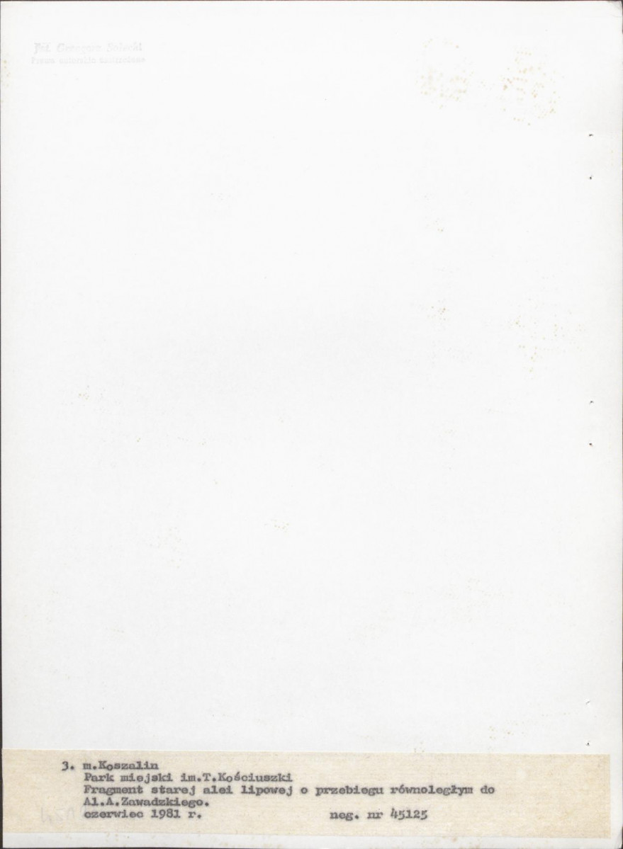 Ewidencja parkowa, skan nr 25