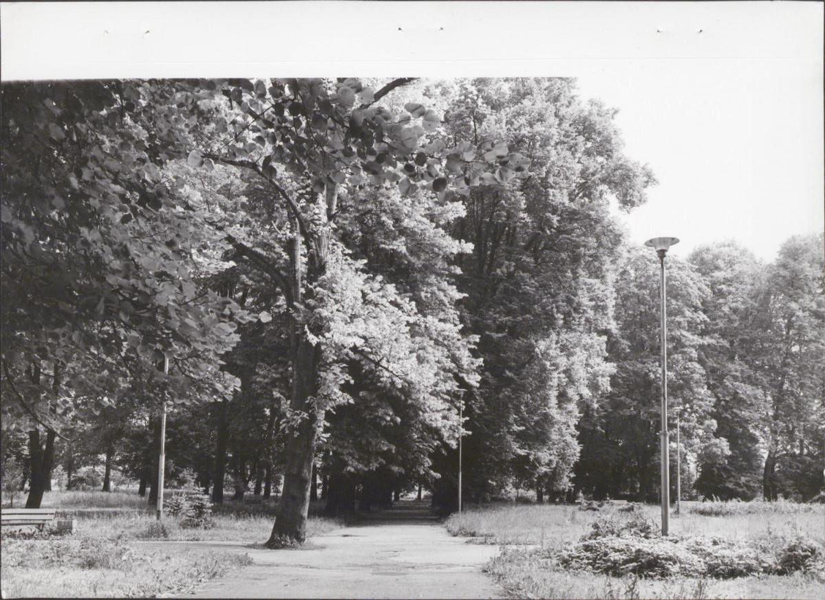 Ewidencja parkowa, skan nr 28