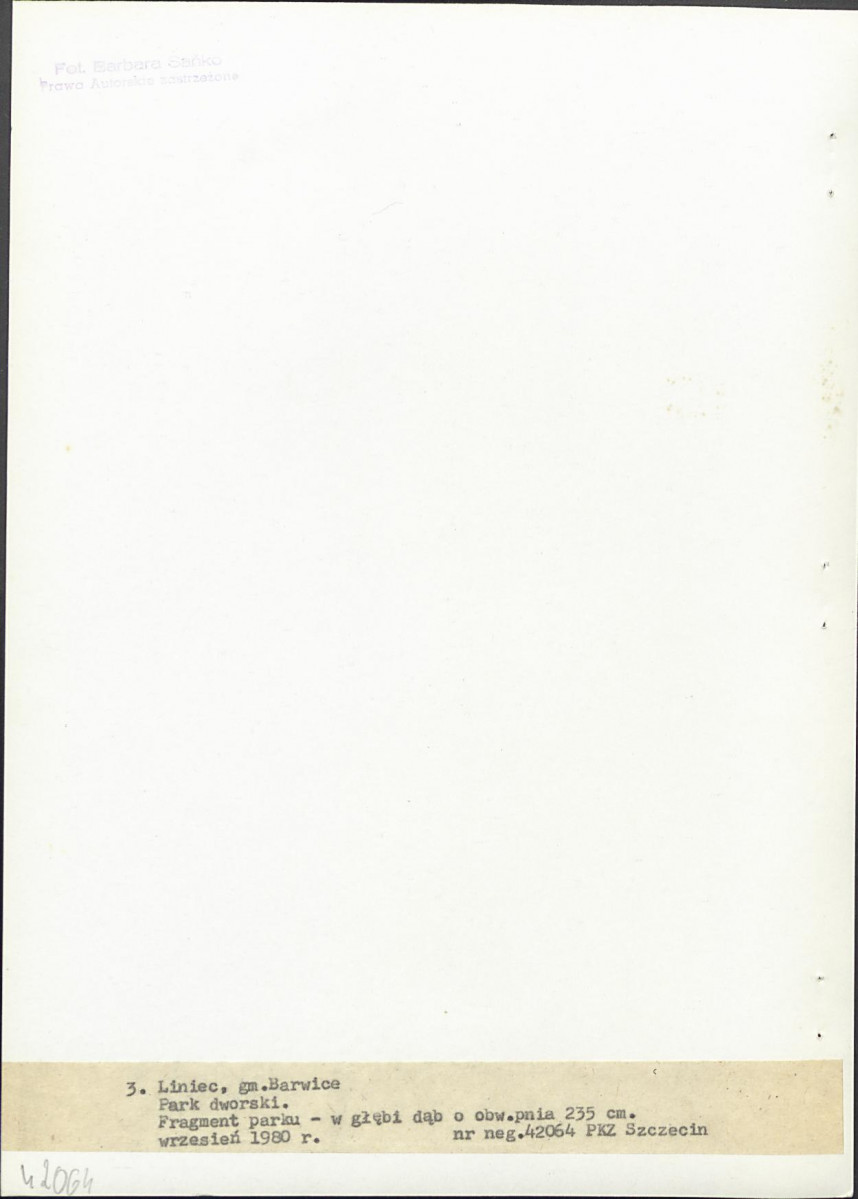EP - Ewidencja parkowa, skan nr 22