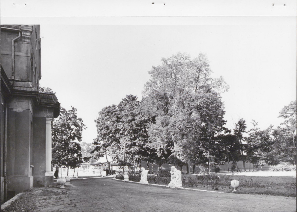 Ewidencja parkowa, skan nr 15