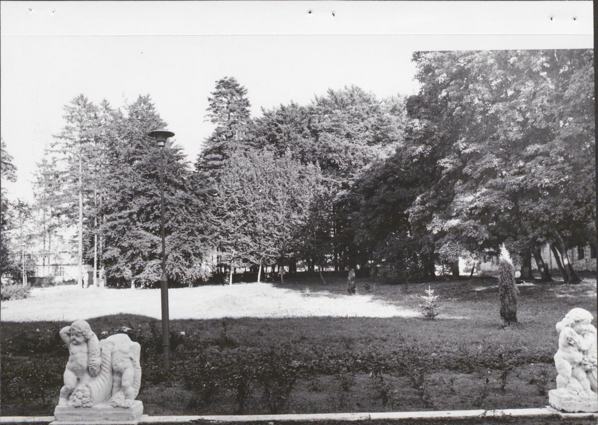 Ewidencja parkowa, skan nr 17