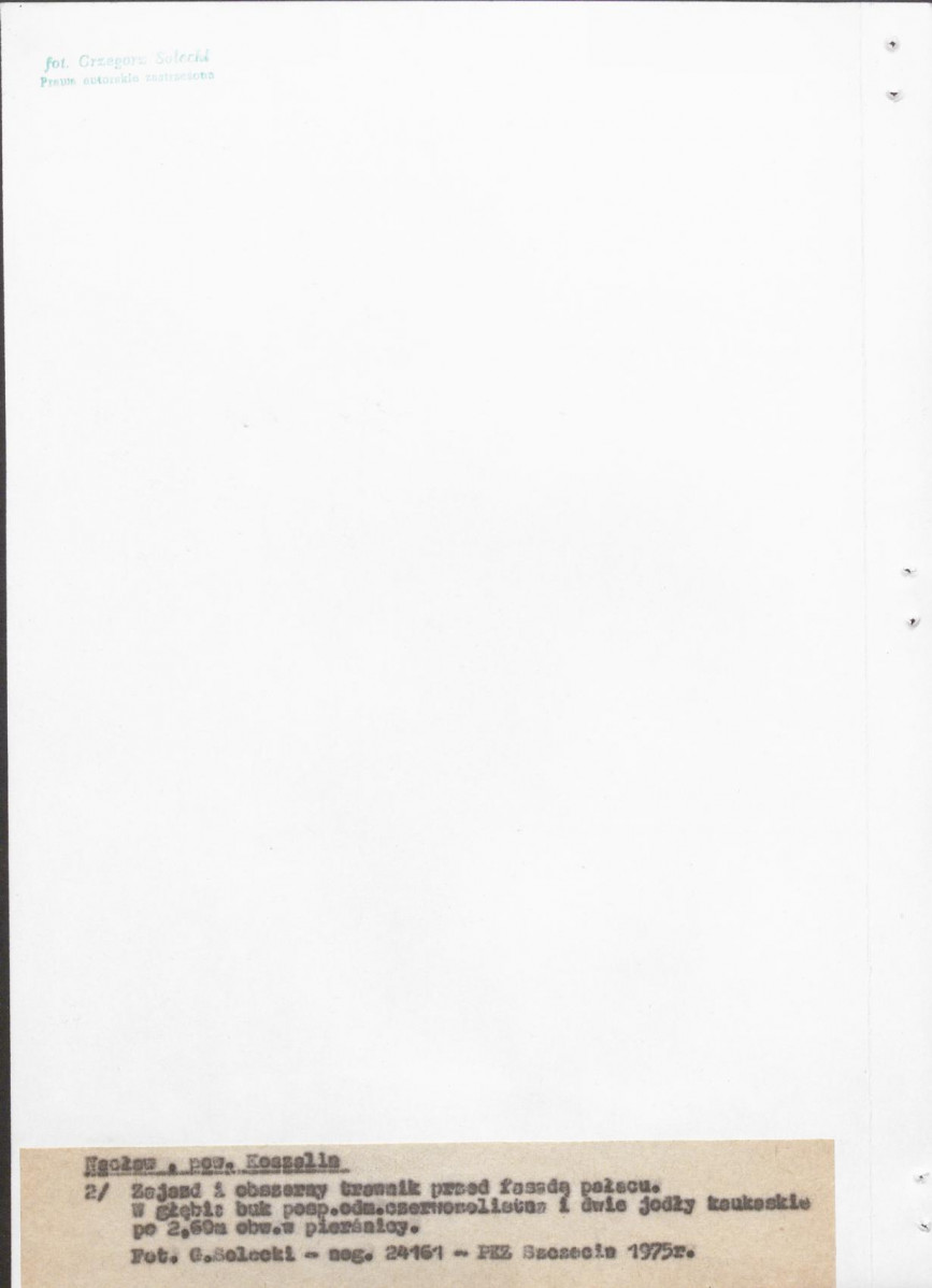 Ewidencja parkowa, skan nr 18