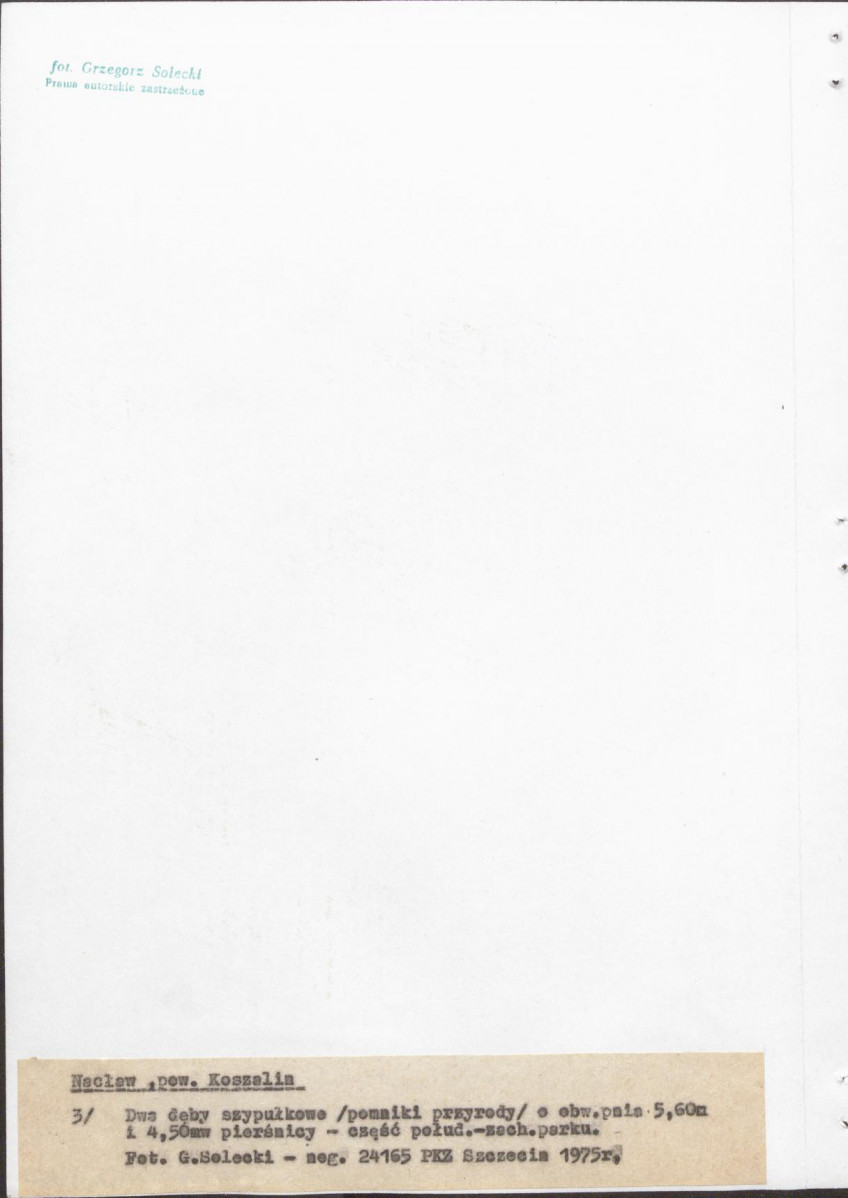 Ewidencja parkowa, skan nr 20