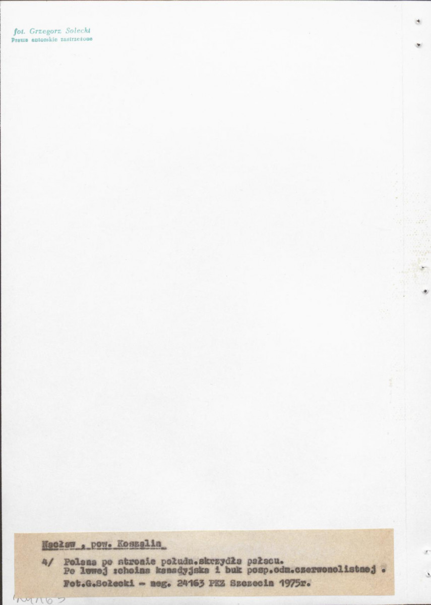 Ewidencja parkowa, skan nr 22