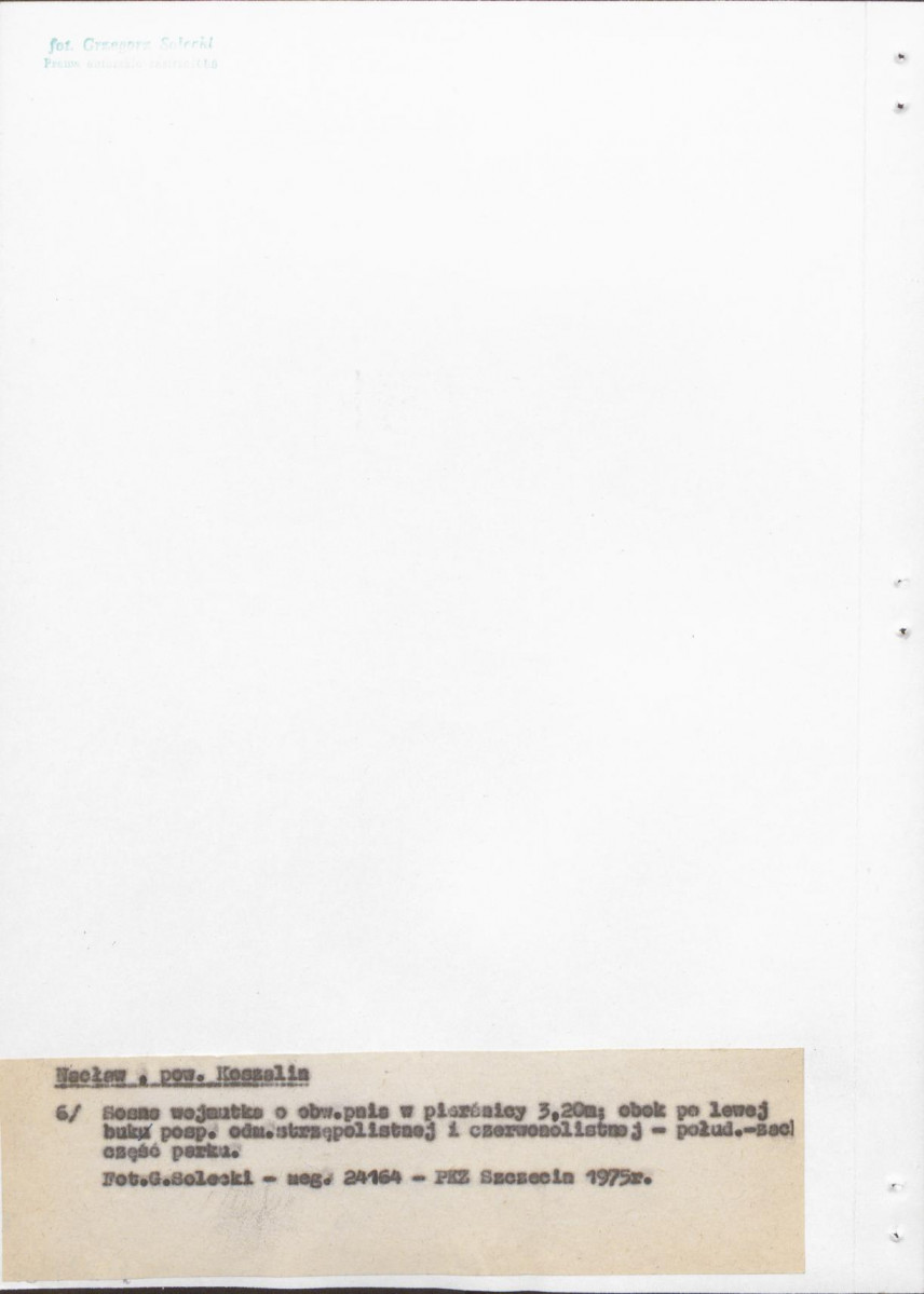 Ewidencja parkowa, skan nr 26