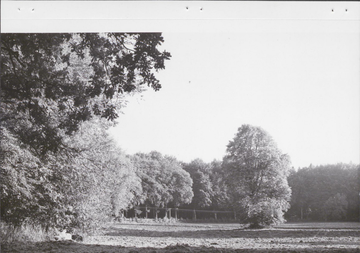 Ewidencja parkowa, skan nr 27