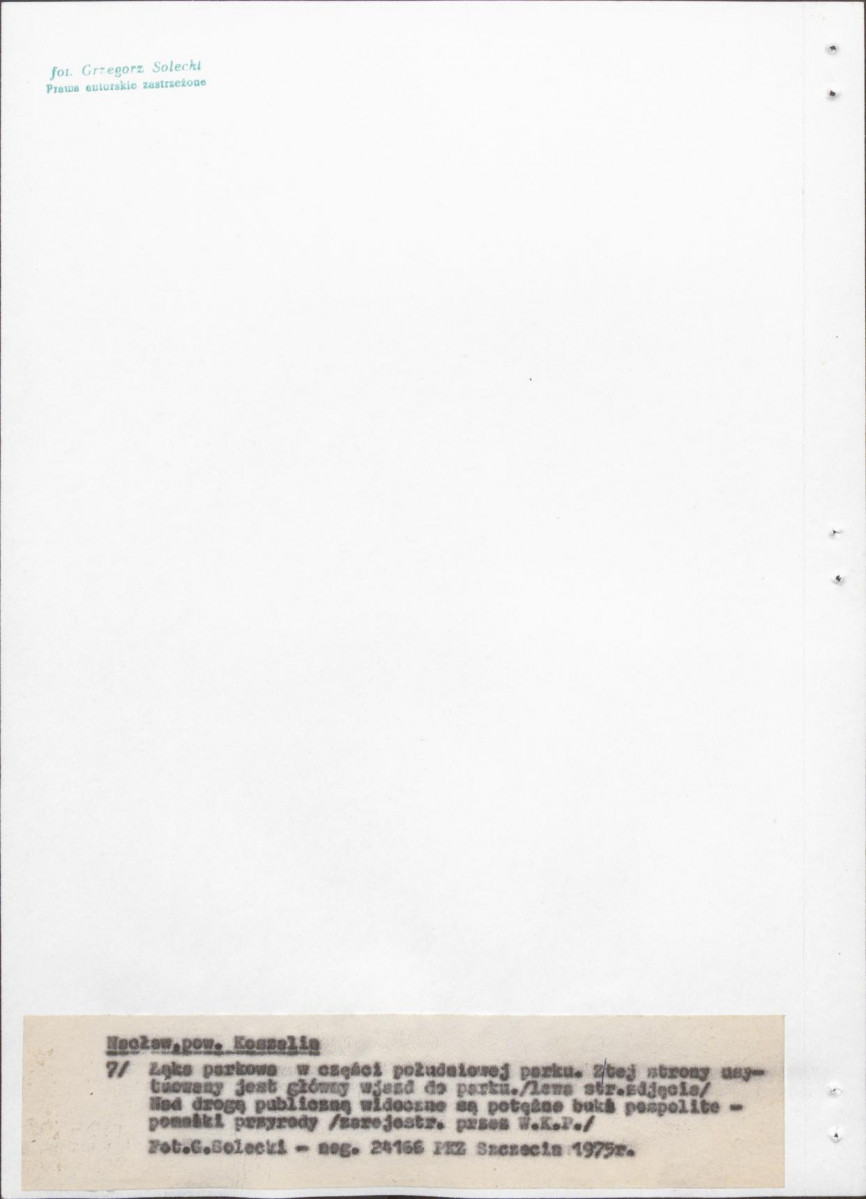 Ewidencja parkowa, skan nr 28