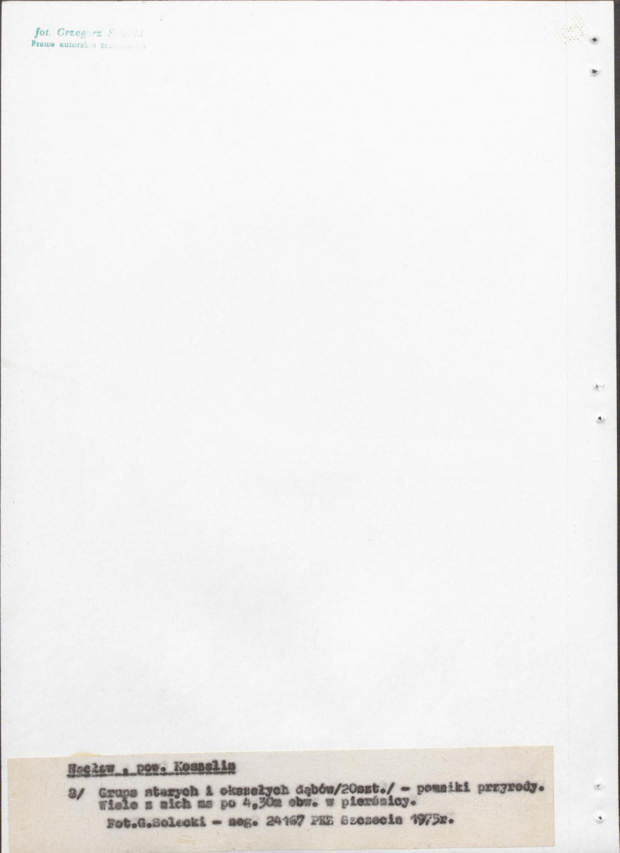 Ewidencja parkowa, skan nr 30