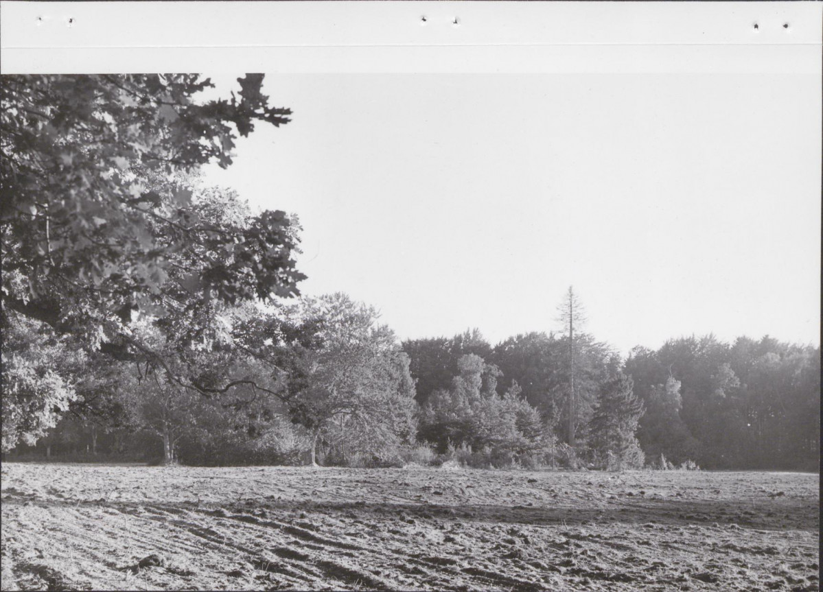 Ewidencja parkowa, skan nr 31