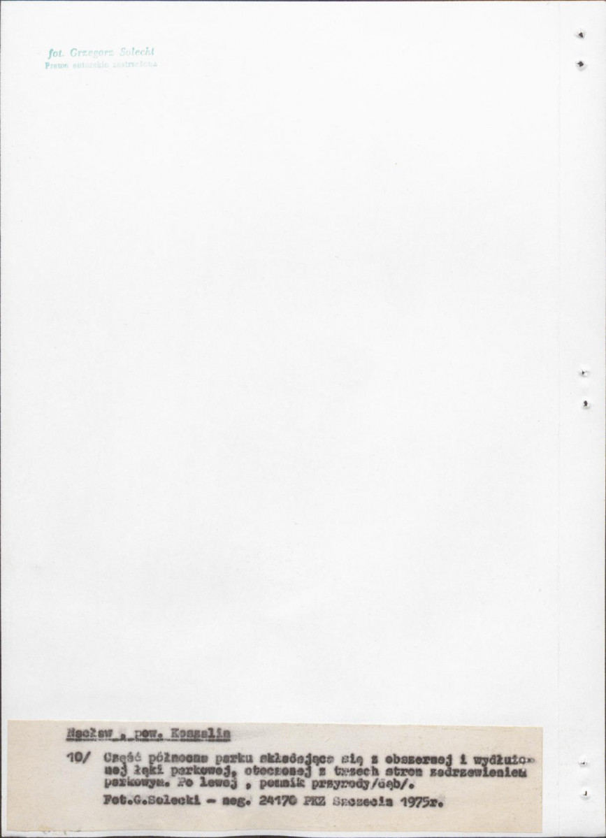 Ewidencja parkowa, skan nr 34