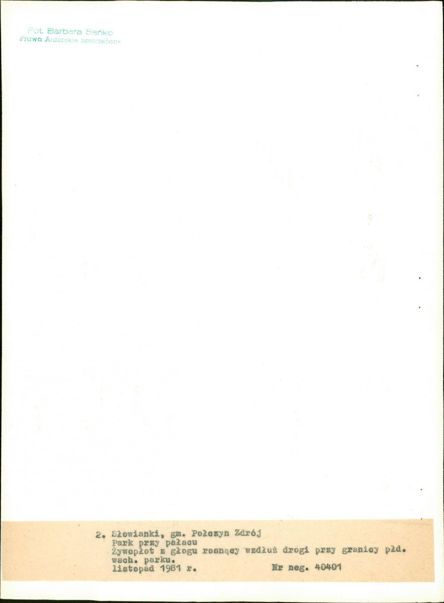 EP - Ewidencja parkowa, skan nr 25