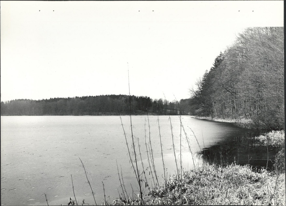 EP - Ewidencja parkowa, skan nr 26