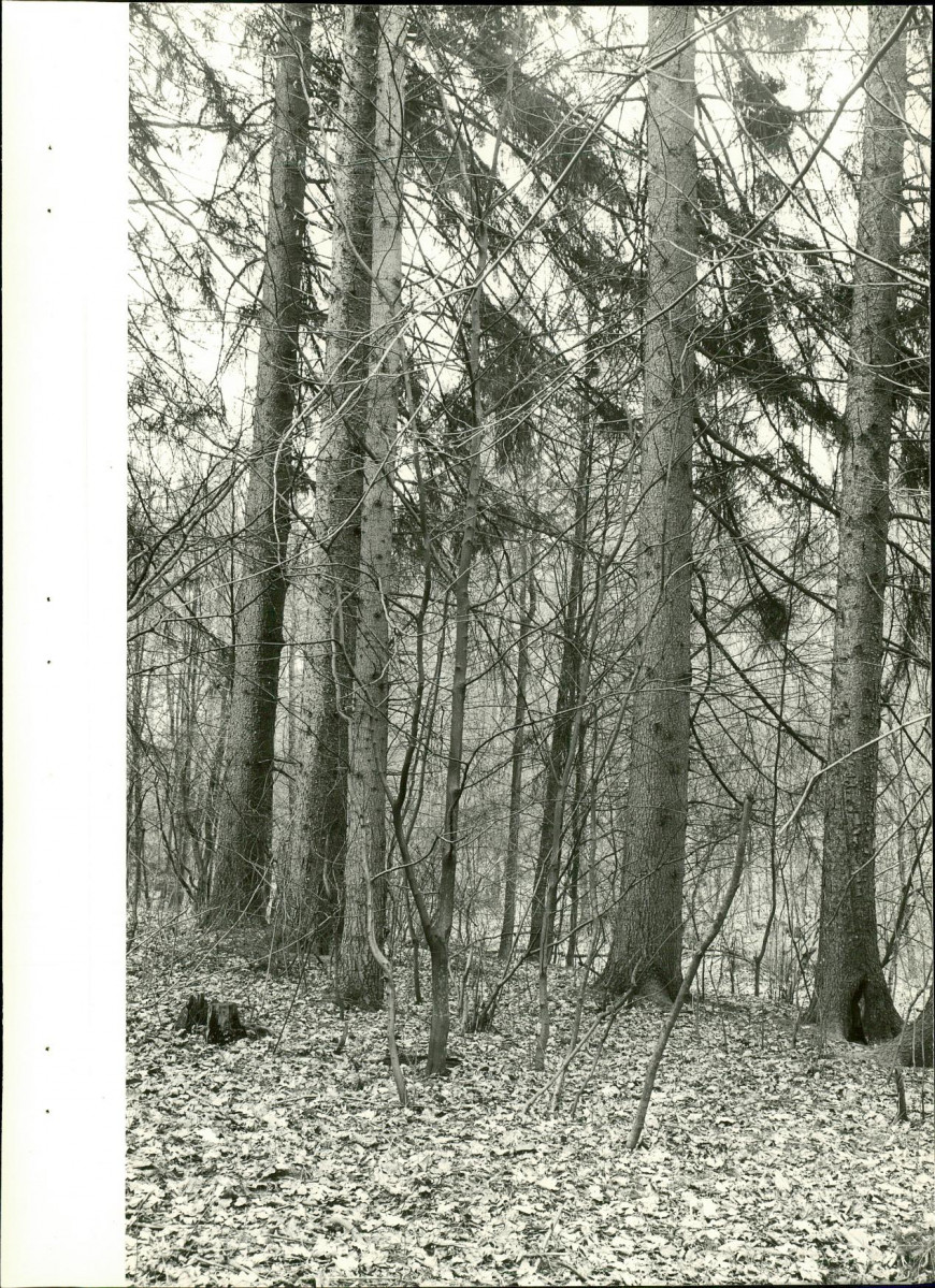 EP - Ewidencja parkowa, skan nr 34