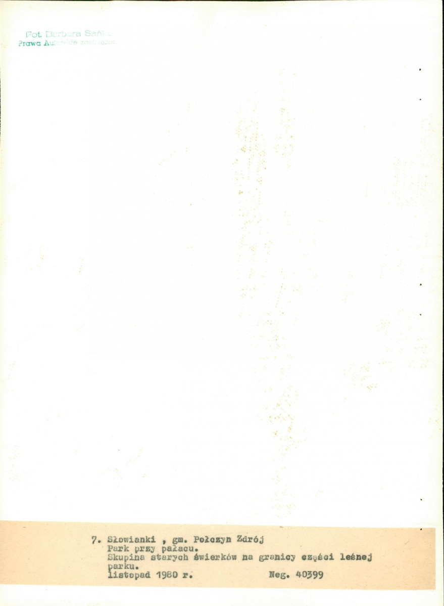 EP - Ewidencja parkowa, skan nr 35