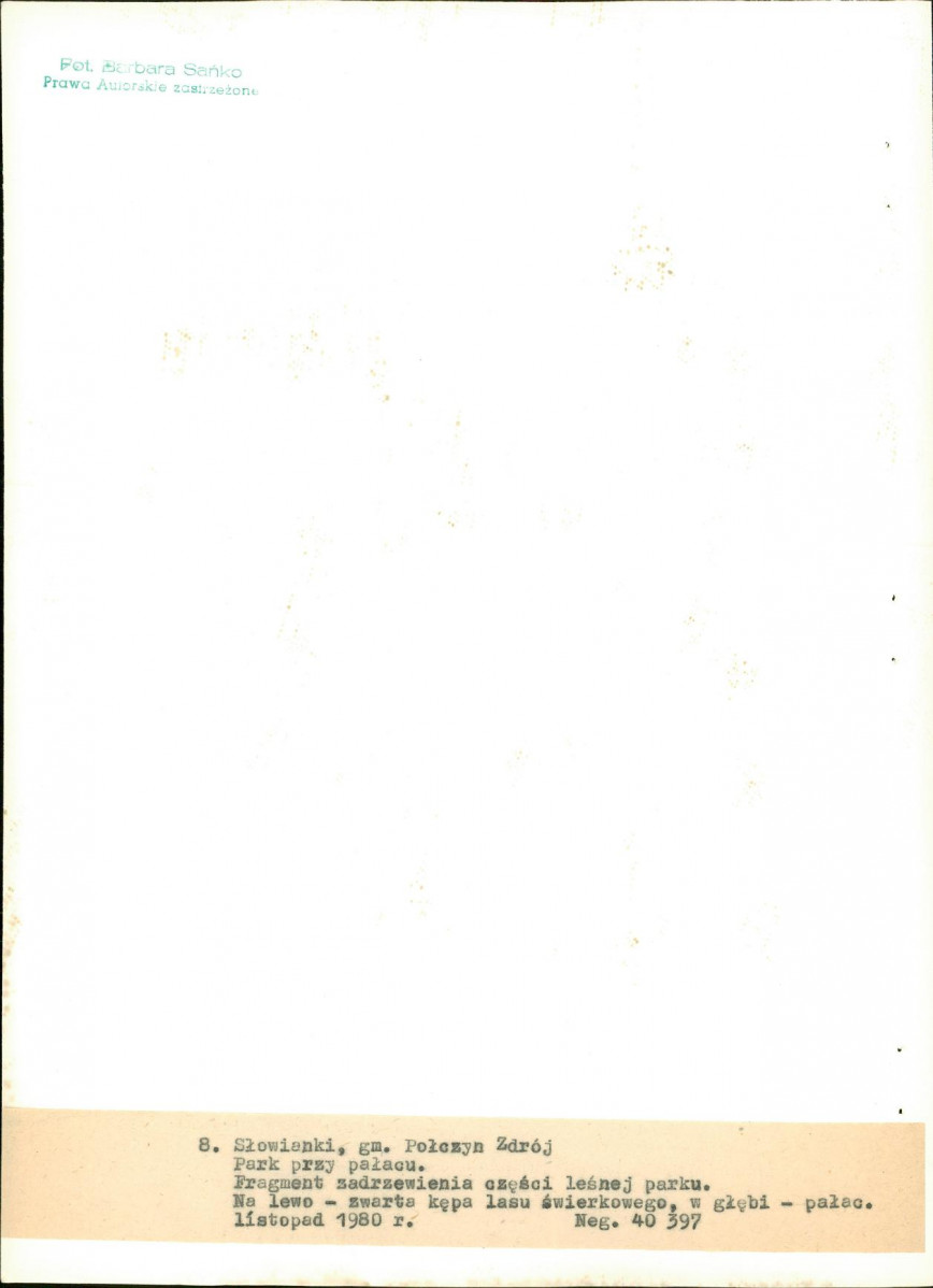 EP - Ewidencja parkowa, skan nr 37