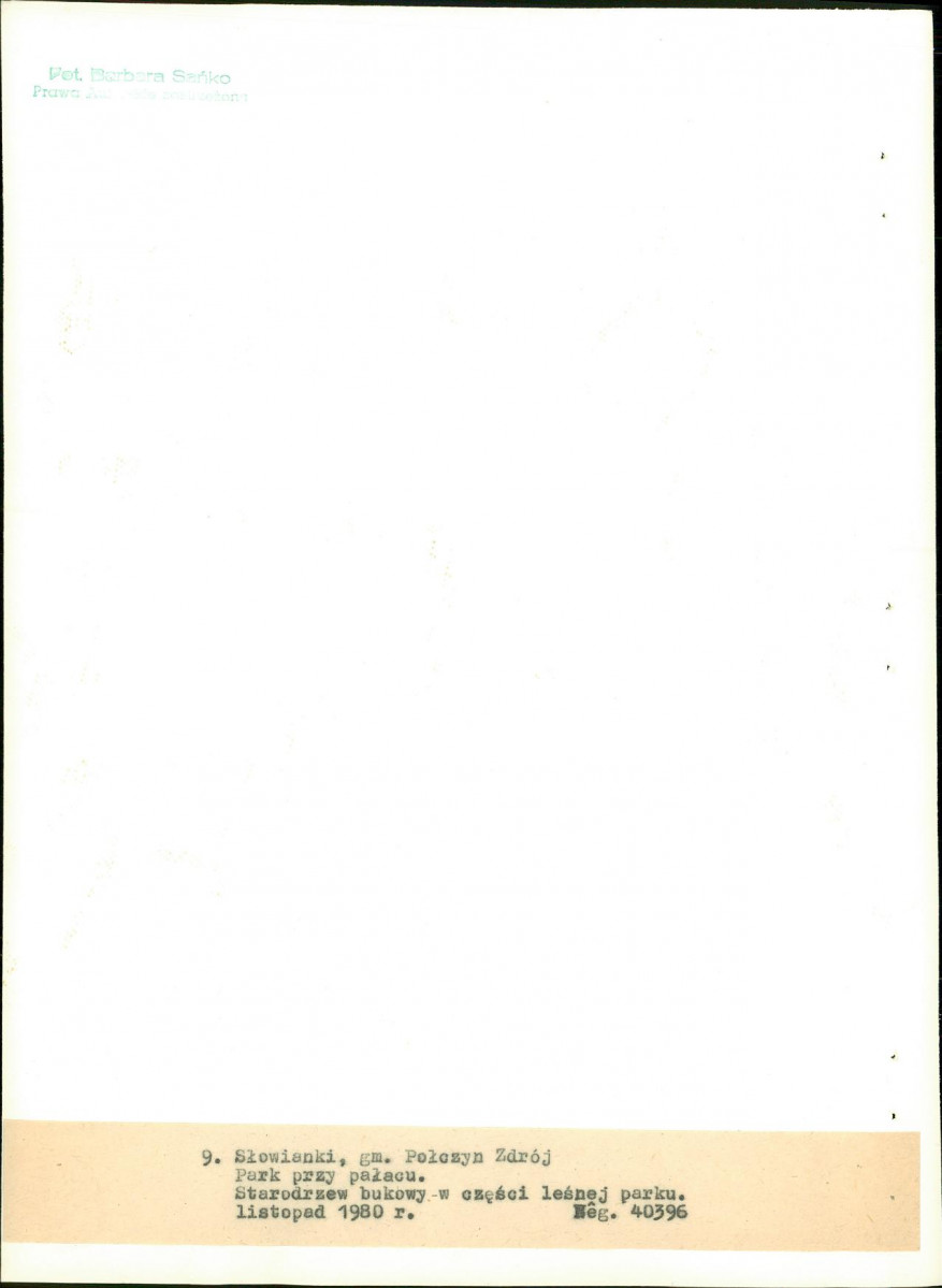 EP - Ewidencja parkowa, skan nr 39