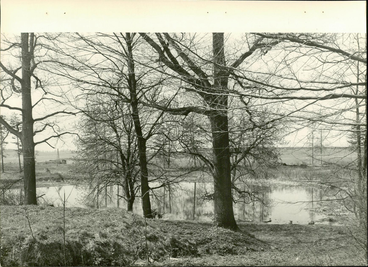 EP - Ewidencja parkowa, skan nr 22