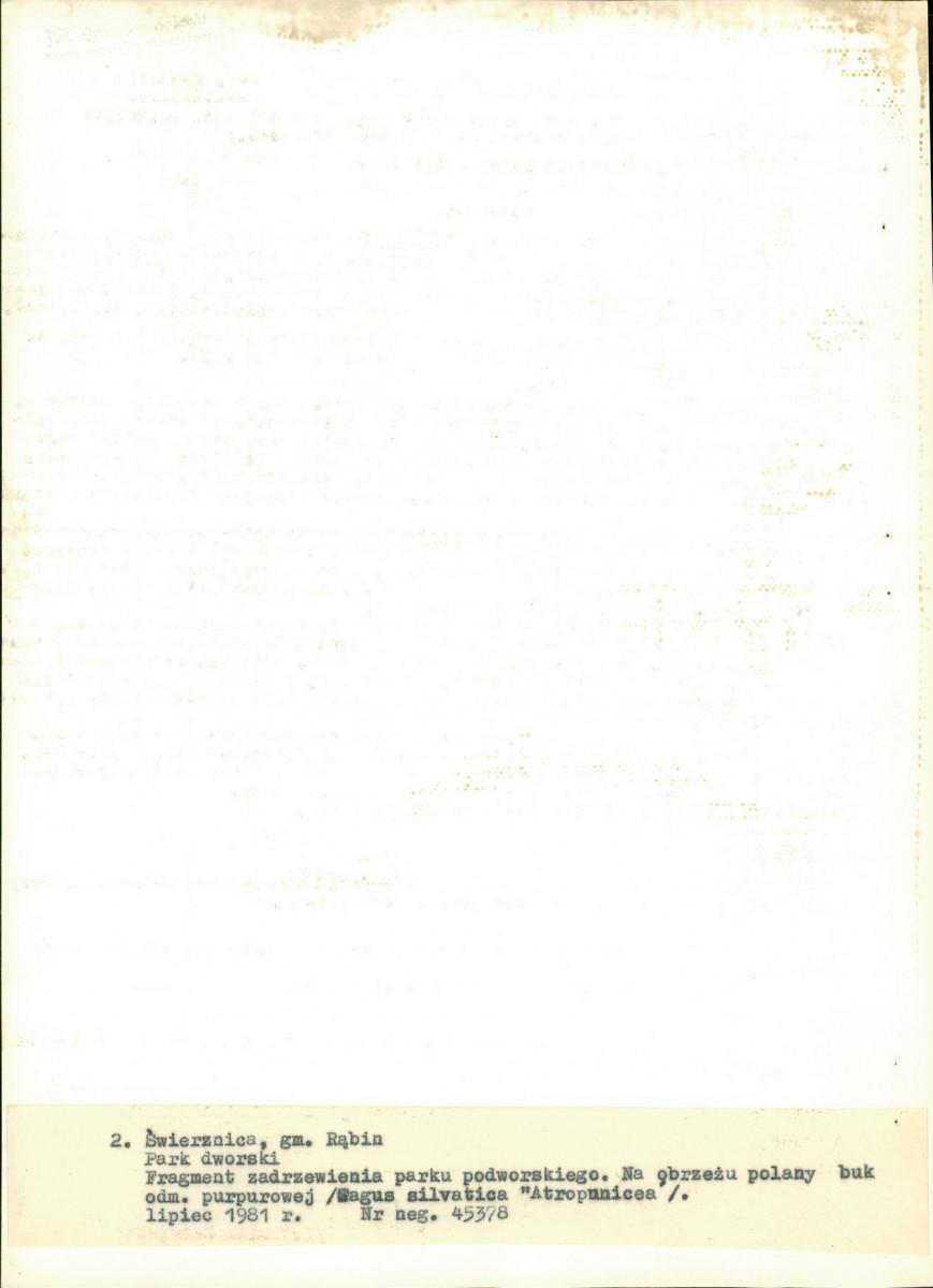 EP - Ewidencja parkowa, skan nr 21
