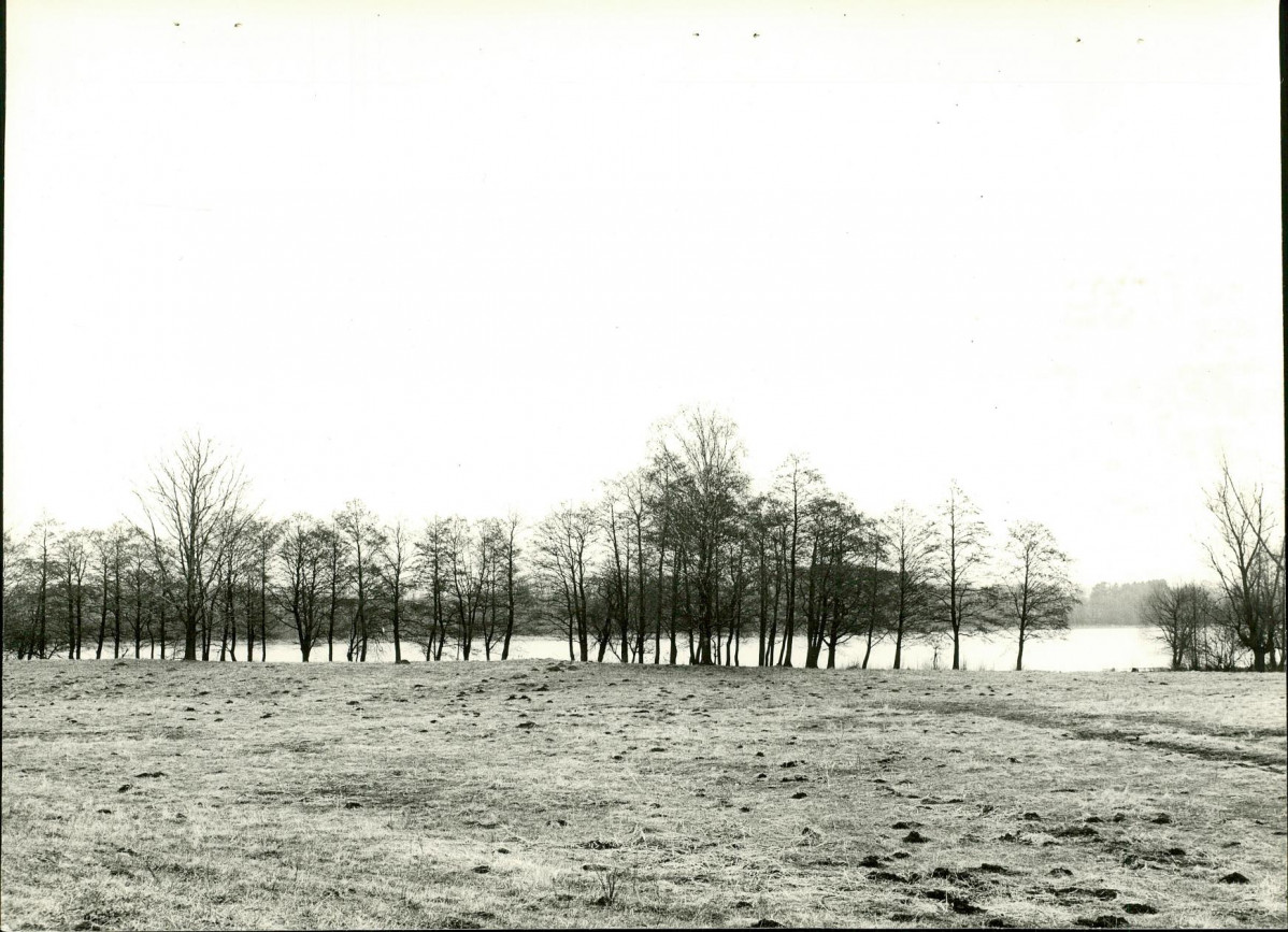 Ewidencja parkowa, skan nr 28