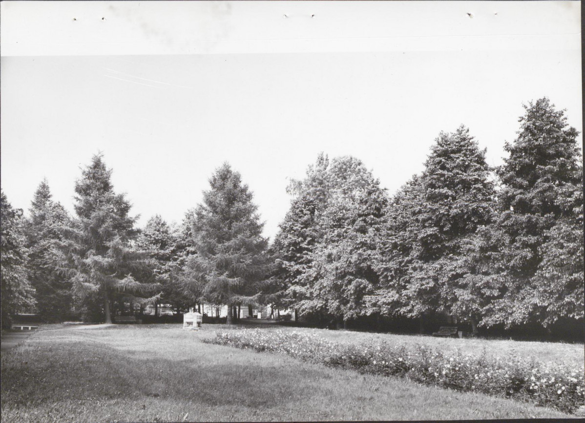 Ewidencja parkowa, skan nr 15