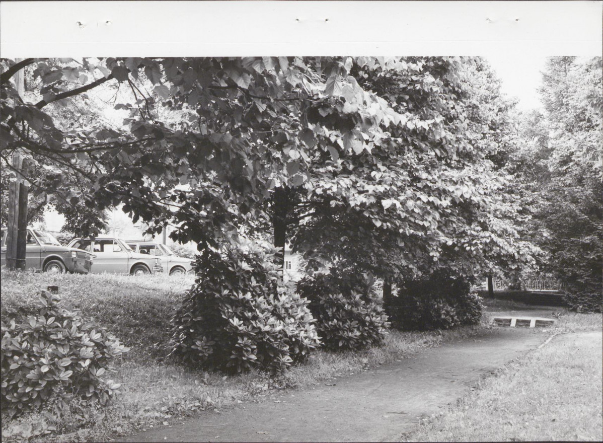 Ewidencja parkowa, skan nr 17