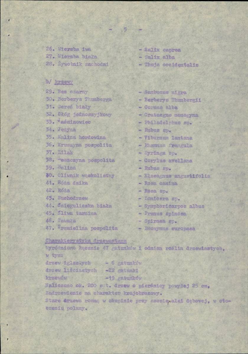Ewidencja parkowa, skan nr 10