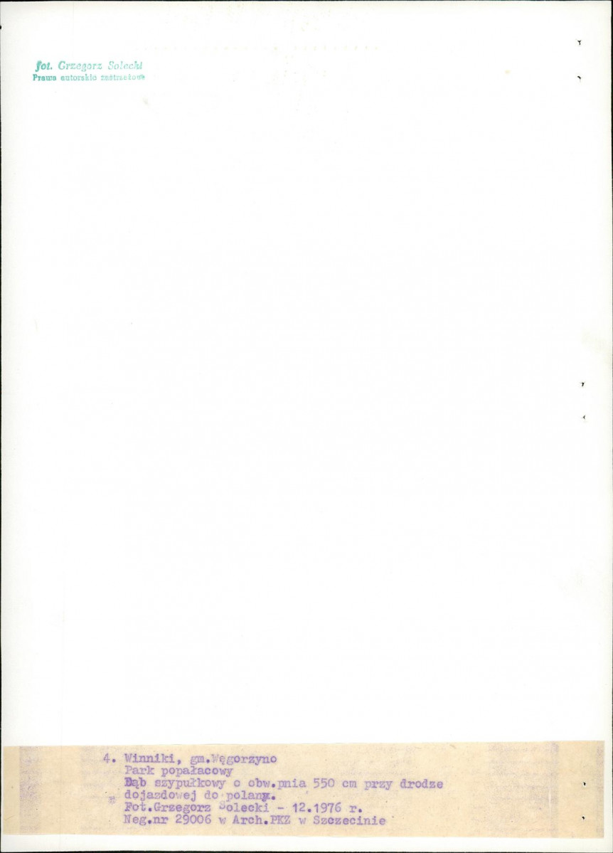 Ewidencja parkowa, skan nr 22