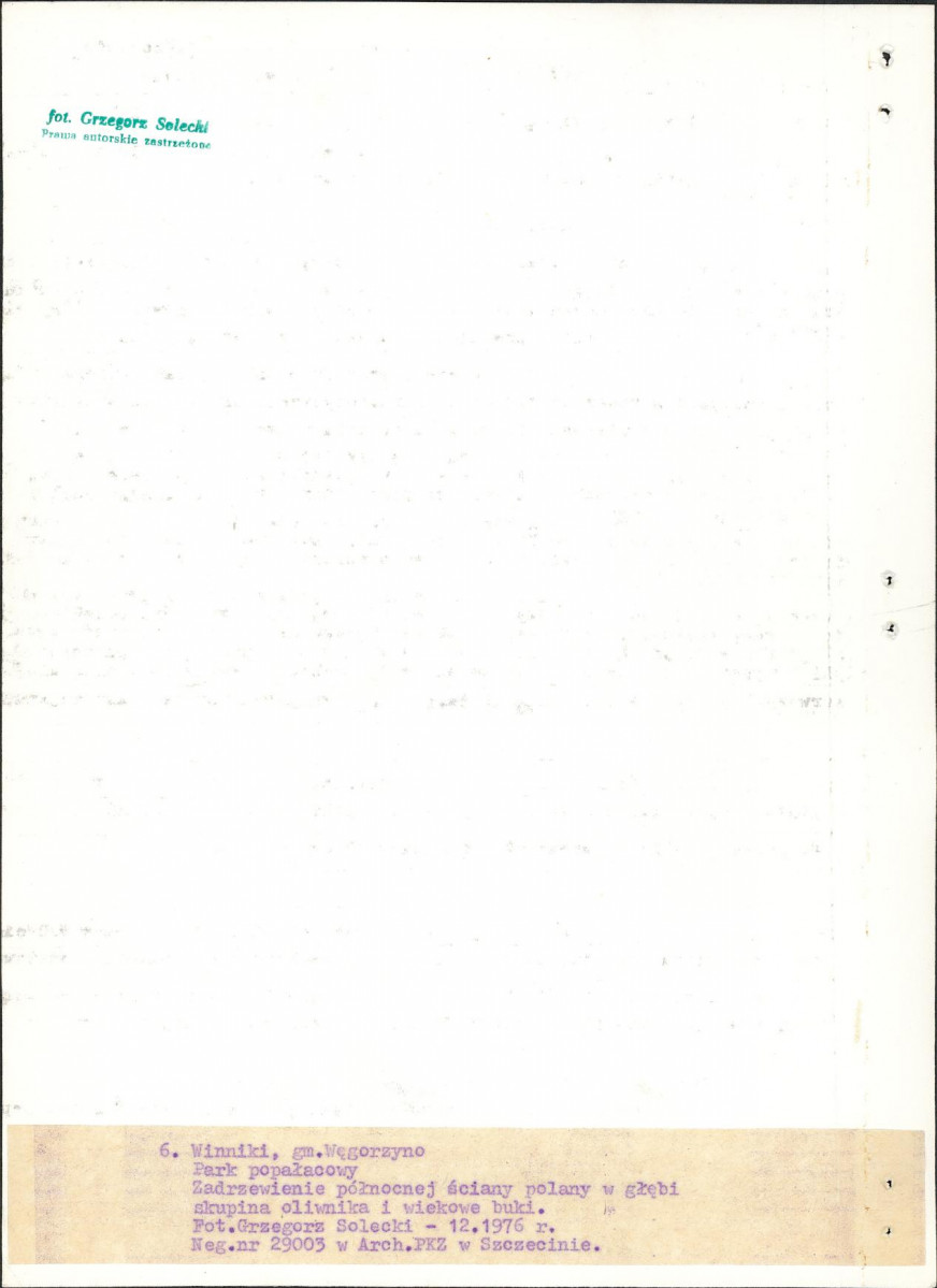 Ewidencja parkowa, skan nr 26