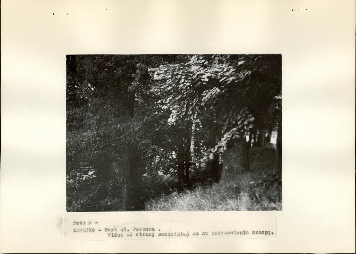 Ewidencja parkowa, skan nr 18