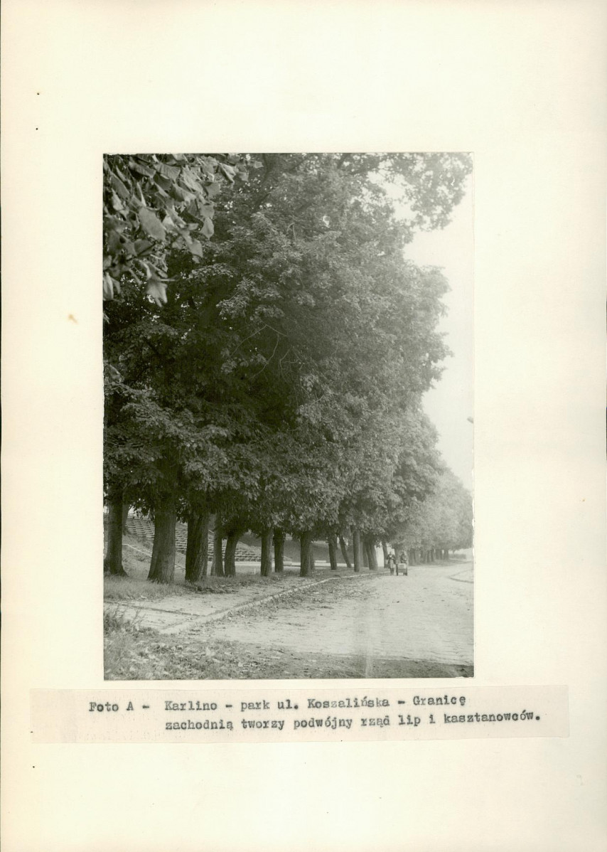 Ewidencja parkowa, skan nr 12
