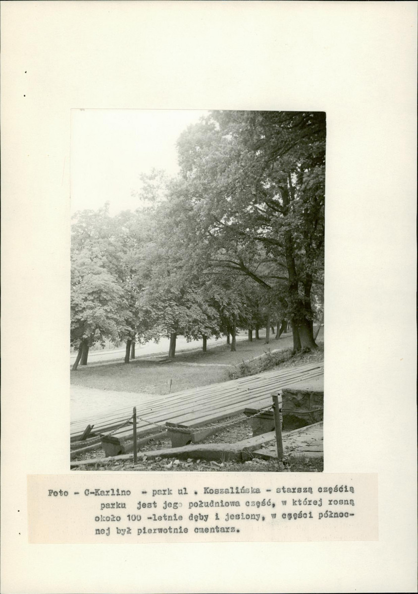 Ewidencja parkowa, skan nr 14